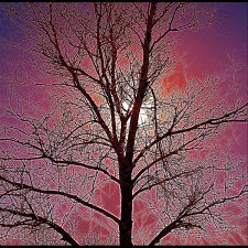 Soaking Up The Sun On A Friday Afternoon