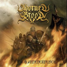Hammerfeste