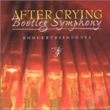 Bootleg Symphony