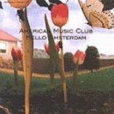 Hello Amsterdam
