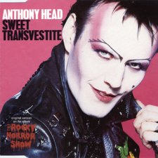 Sweet Transvestite