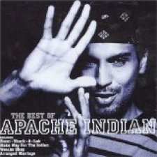 The Best of Apache Indian