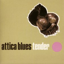 Tender