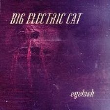 Eyelash