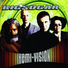 Hemi-Vision