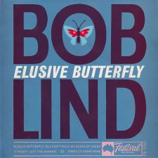 Elusive Butterfly