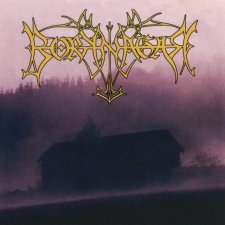 Borknagar