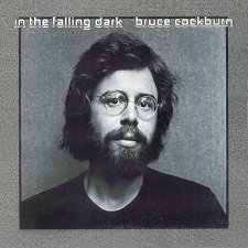 In The Falling Dark