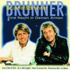 Eine Nacht In Deinen Armen