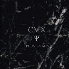 Puuvertaus