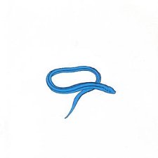 Bring On The Snakes