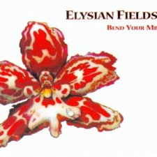 Bend Your Mind