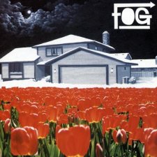 Fog