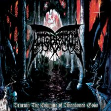 Beneath the Columns of Abandoned Gods