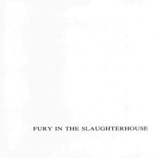 Fury in the Slaughterhouse