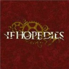 The Ground Is Rushing Up to Meet Us