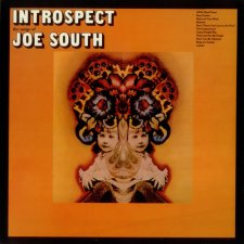 Introspect