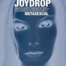 Metasexual