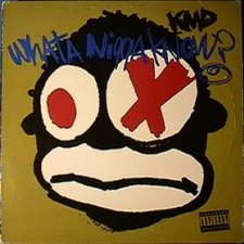 What a Nigga Know?