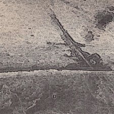 Viking Burial for a French Car