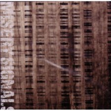 Misery Signals