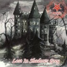 Lost In Shadows Grey