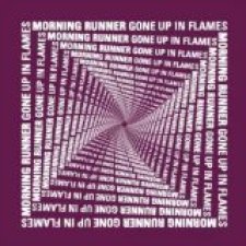 Gone Up In Flames