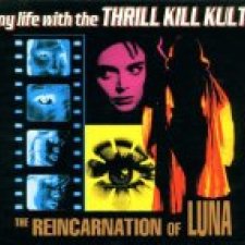 The Reincarnation of Luna