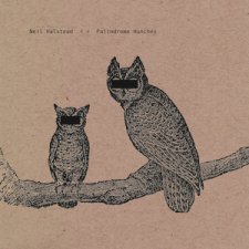 Palindrome Hunches