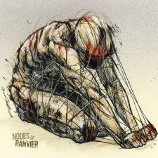 Nodes Of Ranvier
