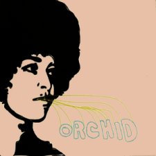 Orchid