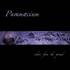 Echoes From the Ground