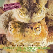 The Mating Sound of South American Frogs