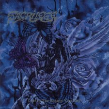 Lost in the Beauty You Slay