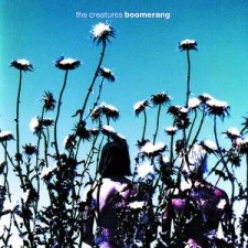 Boomerang