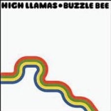 Buzzle Bee