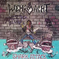 Shark Attack