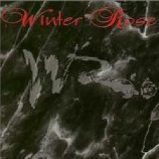 Winter Rose