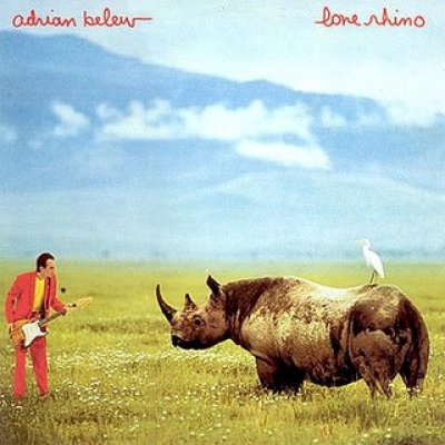 Lone Rhino