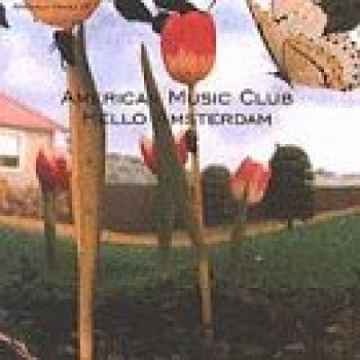 Hello Amsterdam
