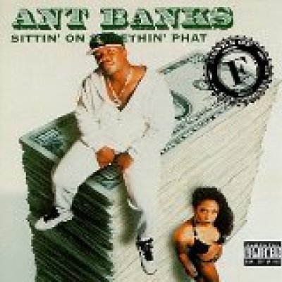 Sittin' on Somethin' Phat