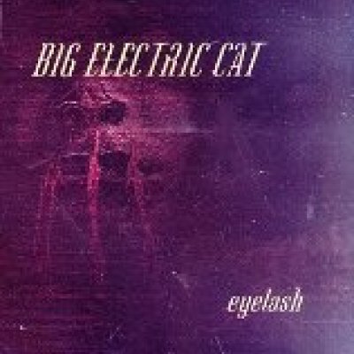 Eyelash