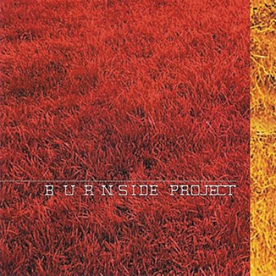 Burnside Project