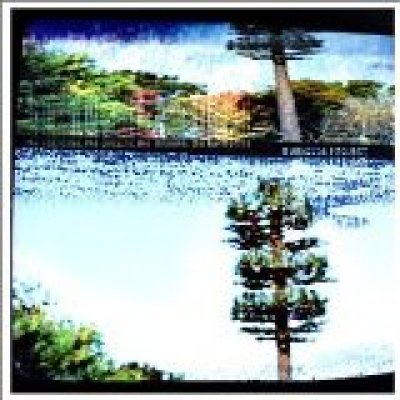 The Networks, The Circuits, The Streams, The Harmonies