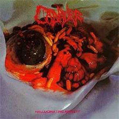 Hallucinating Anxiety