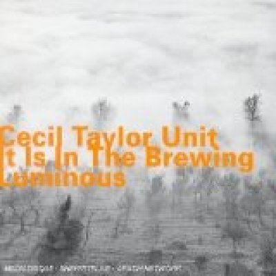 It Is in the Brewing Luminous