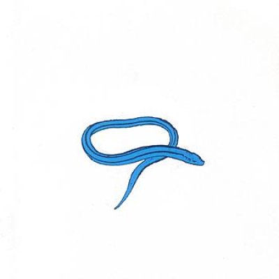 Bring On The Snakes