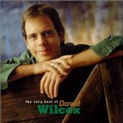 The Best of David Wilcox