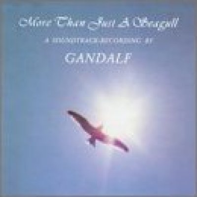 More than Just a Seagull