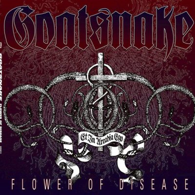 Flower Of Disease